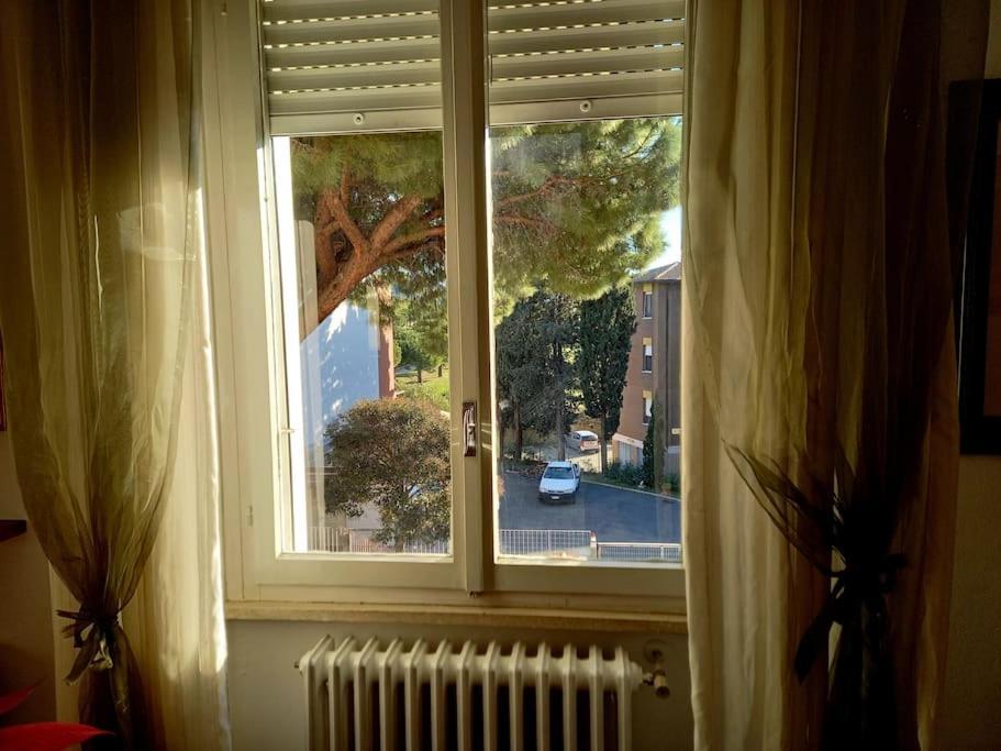 Casa Lola Διαμέρισμα Λιβόρνο Εξωτερικό φωτογραφία